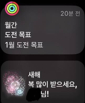 🐰 애플워치도 축하해주는 2023년 🐰 | 인스티즈