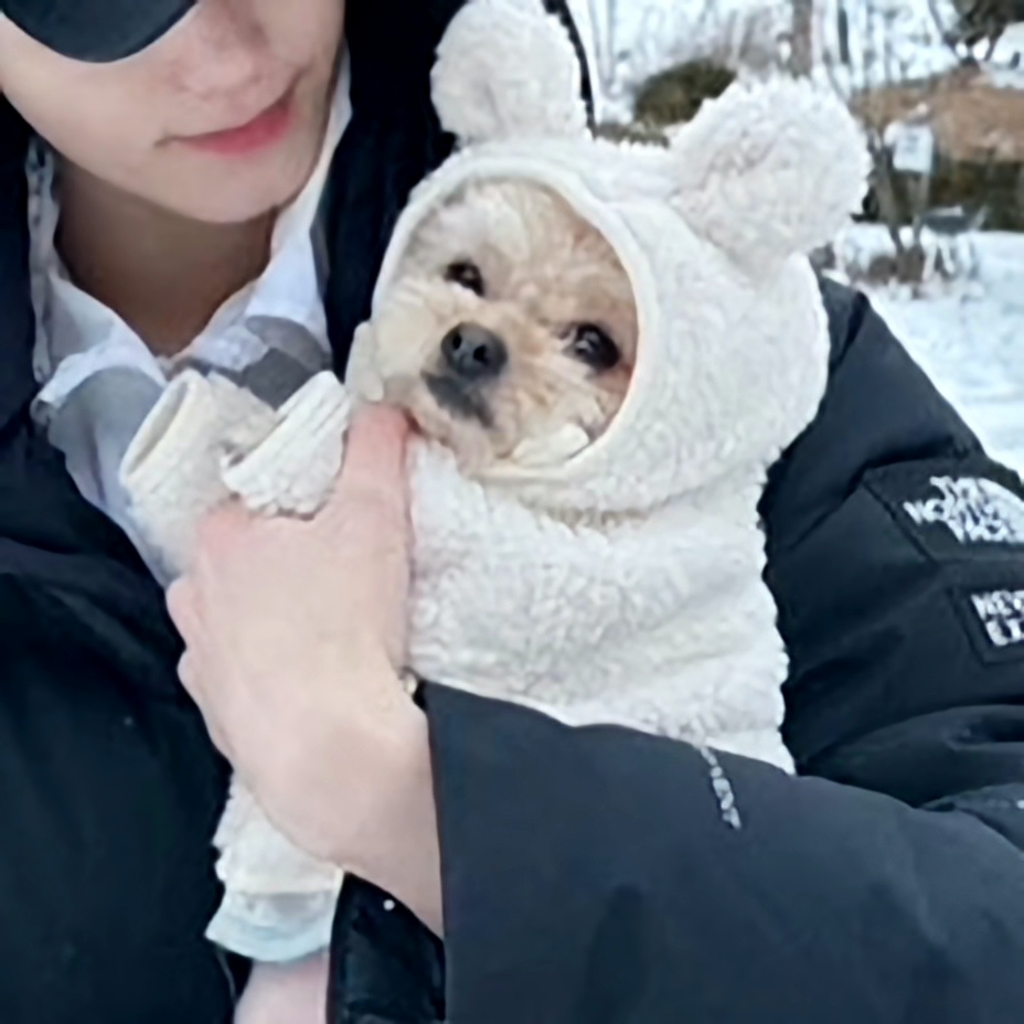 [잡담] 본진 최애가 사진 올려줬는데ㅠㅠㅠㅠㅠㅠ 강아지가 너무 귀여으ㅓㅠㅠㅠㅠㅠㅠㅠ | 인스티즈