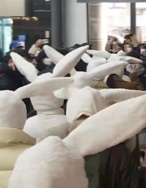 [잡담] 트와이스 개귀엽다 토끼모자 | 인스티즈