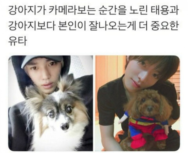 [잡담] 새해에 크게 웃으시라고 엔시티 제목학원 및 웃긴짤 모음.jpg | 인스티즈