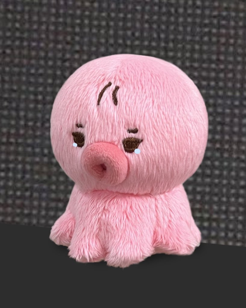 [잡담] 이거 아이돌 누구 인형 같아? | 인스티즈