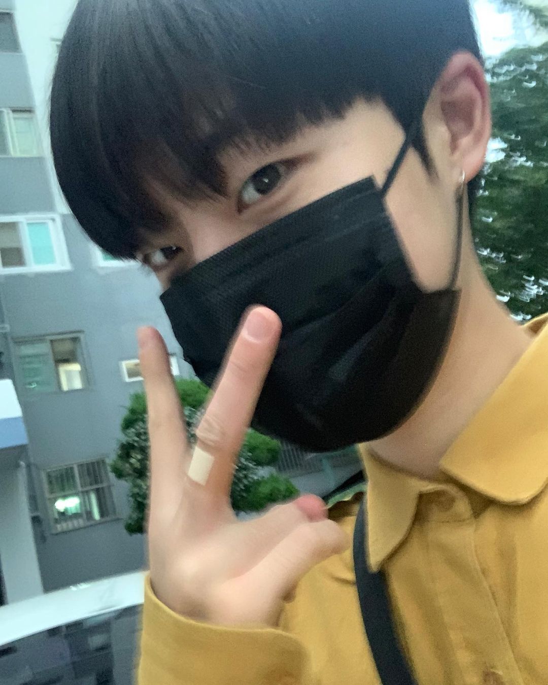 [잡담] 보플 내 픽 홍보하러 옴 | 인스티즈