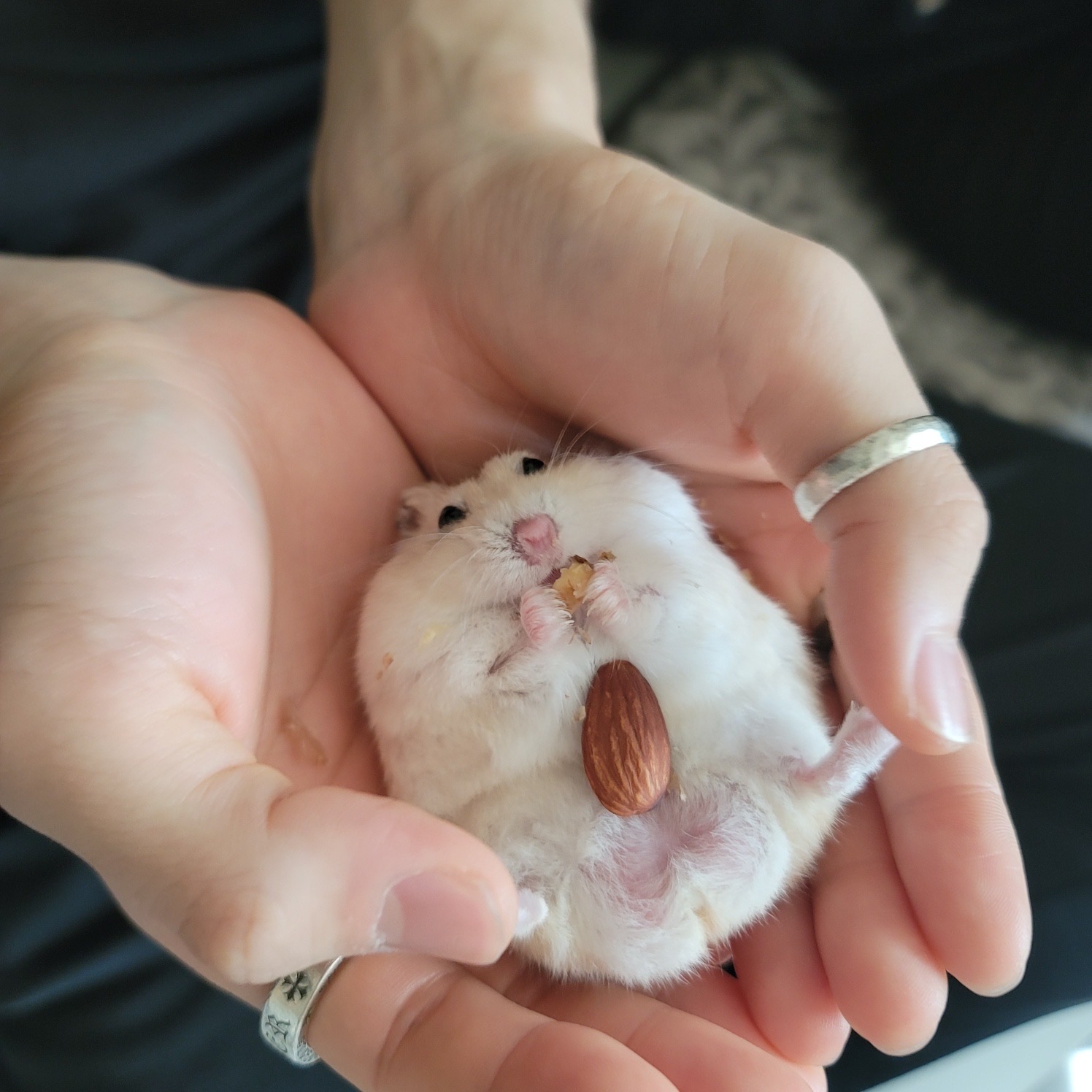 [잡담] 와앙 용복이 손 너무 귀엽다 | 인스티즈