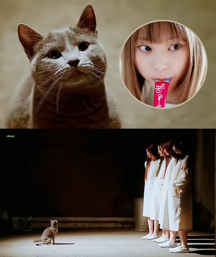 [잡담] 강해린 츄르 짤 레전드임 | 인스티즈