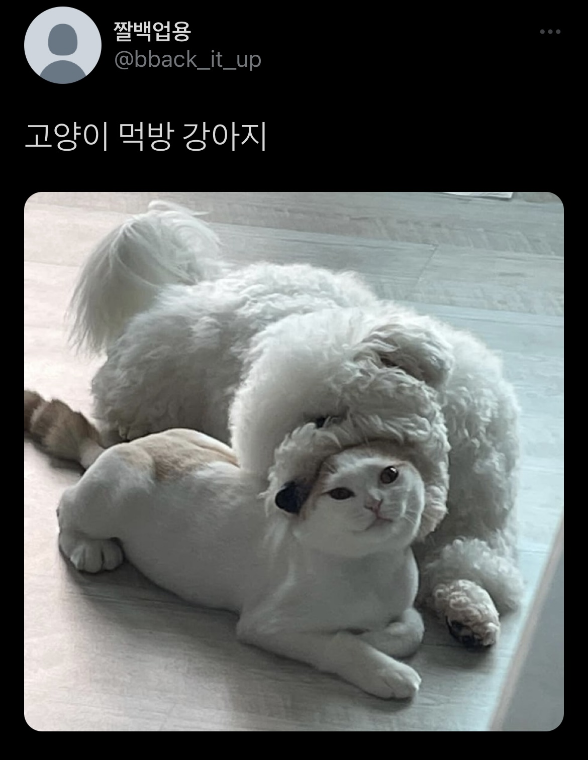[잡담] 이 사진 본진 대입하면 누구누구야 ??ㅋㅋㅋㅋ | 인스티즈
