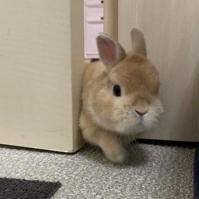 [잡담] 이거 진짜 김도영 | 인스티즈