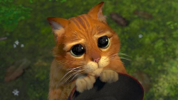 [잡담] 성한빈 장화신은고양이 표정할때마다 내맘이 힘들다... | 인스티즈