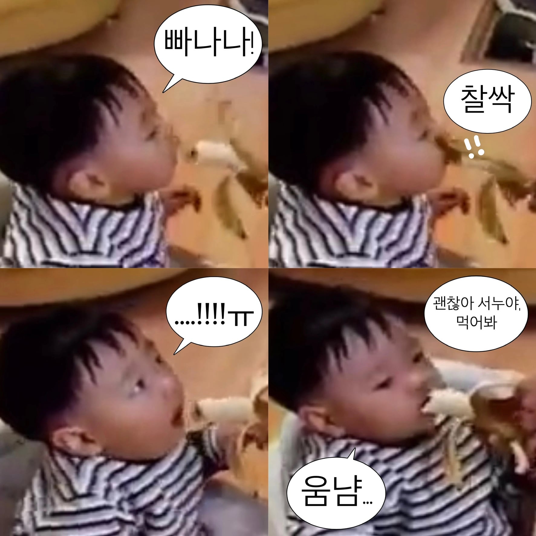 [잡담] 더보이즈 선우 애기때 왜이렇게 귀여오ㅠㅠ | 인스티즈