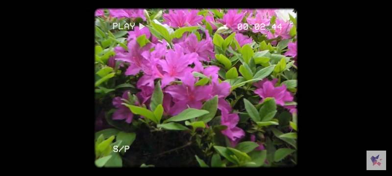 이런 동영상 어플 아는 익?! | 인스티즈