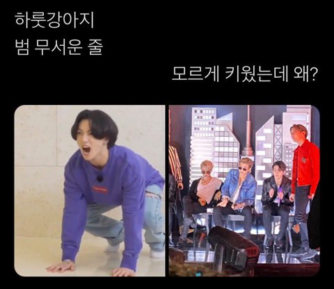 [잡담] 방탄이 금쪽이를 키우는 법ㅋㅋㅋㅋㅋㅋㅌㅌㅋㅋㅋㅋㅋ | 인스티즈
