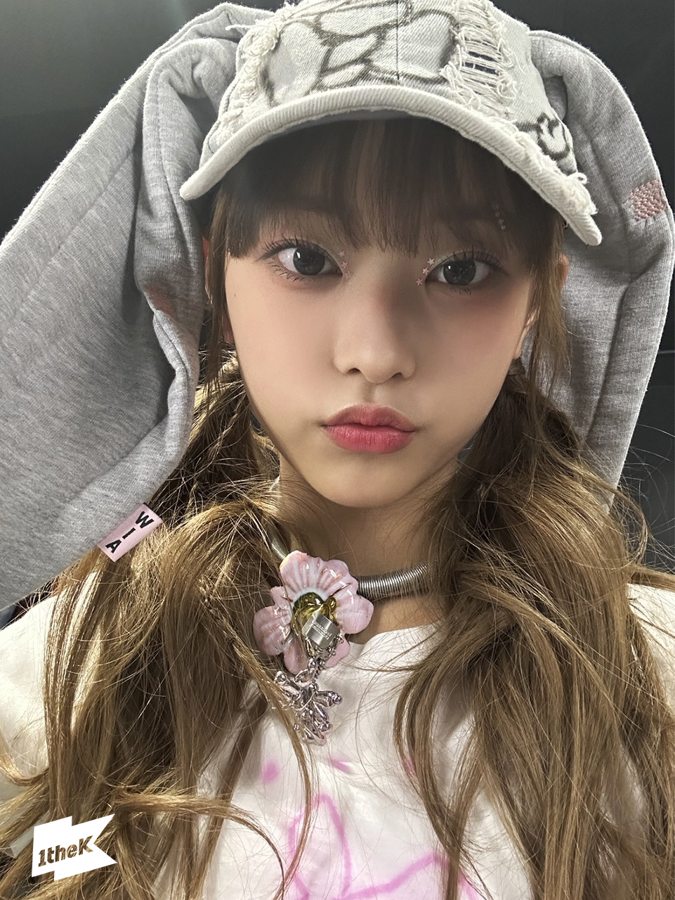[잡담] 뉴진스 해린이 토끼🐰단은 없어???? | 인스티즈