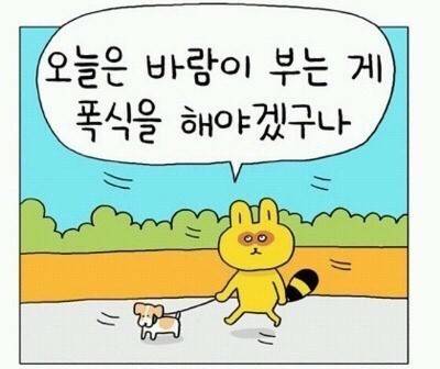 다이어트 어떻게 하는 거야? | 인스티즈