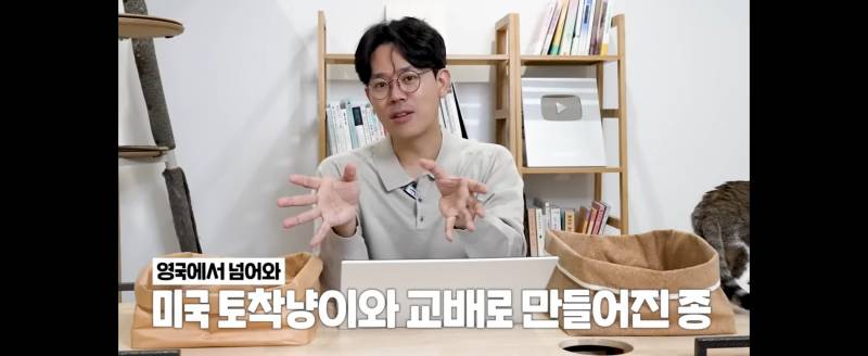 강아지vs고양이 선생님들 이미지 다른거 신기 | 인스티즈