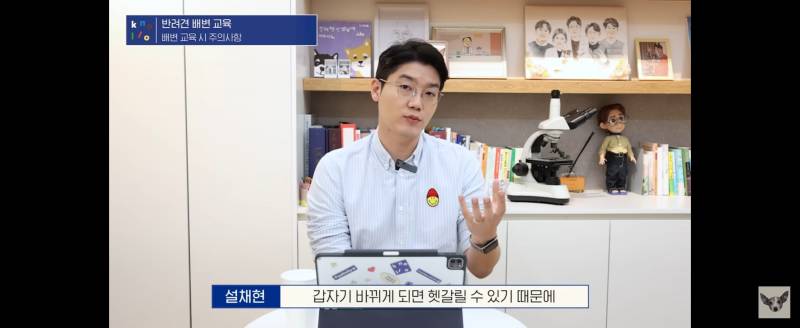 강아지vs고양이 선생님들 이미지 다른거 신기 | 인스티즈