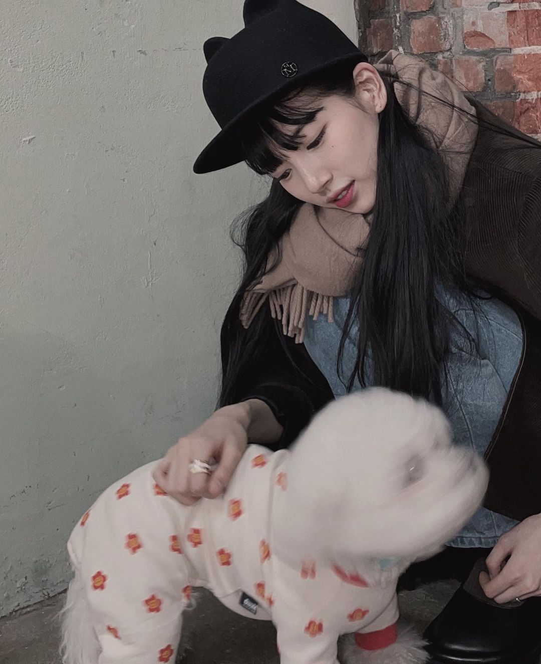 [잡담] 아니 요즘 수지 인스타 뭐야? | 인스티즈