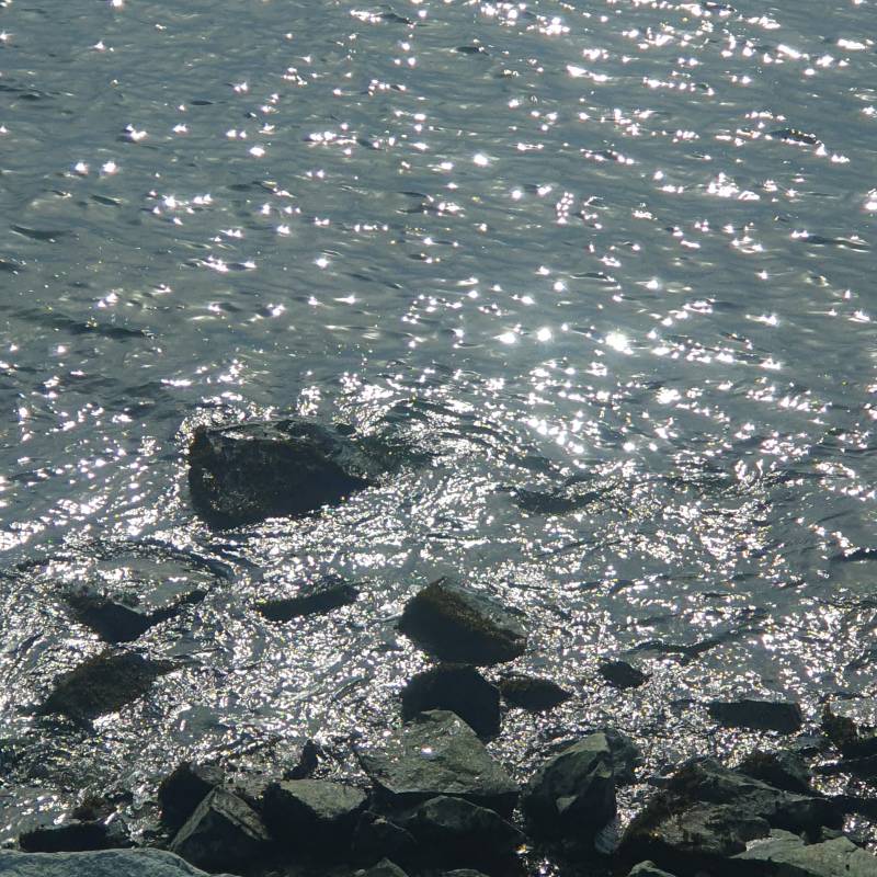 내가 찍은 바다🌊🌊 | 인스티즈