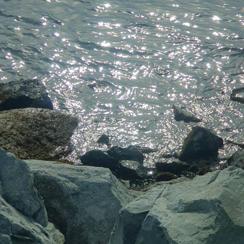 내가 찍은 바다🌊🌊 | 인스티즈