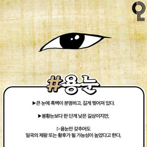 [잡담] 방탄 알엠 눈이 용🐉눈인데 이게 제왕의 눈이래 | 인스티즈