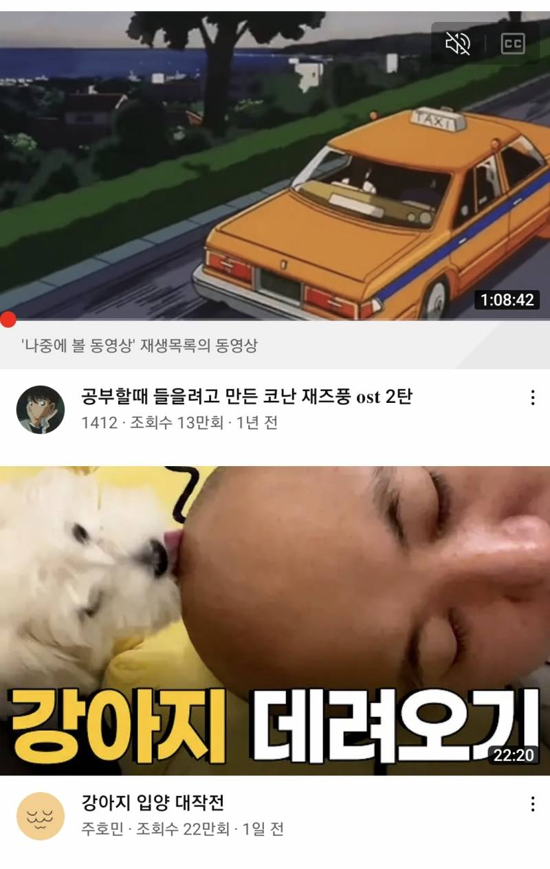 어떻게 이렇게 붙어있냐 | 인스티즈