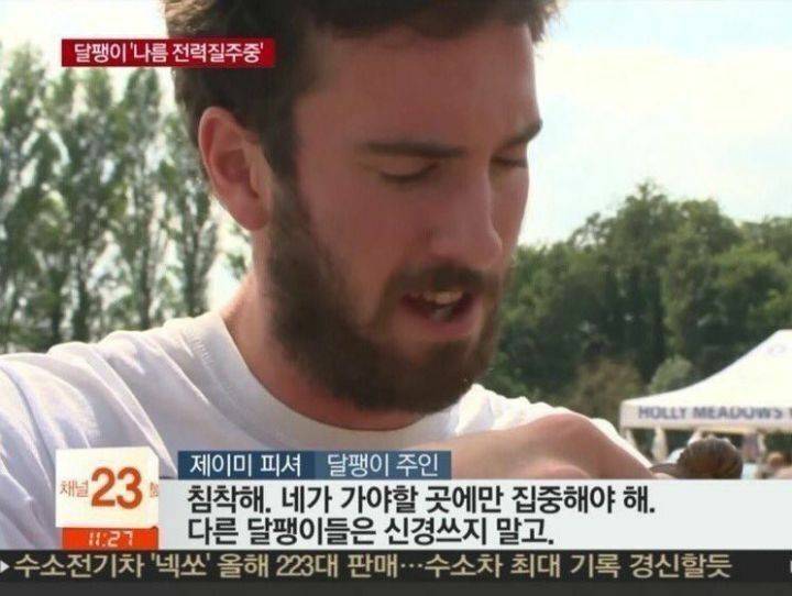 내가 좋아하는 짤 공유함 | 인스티즈