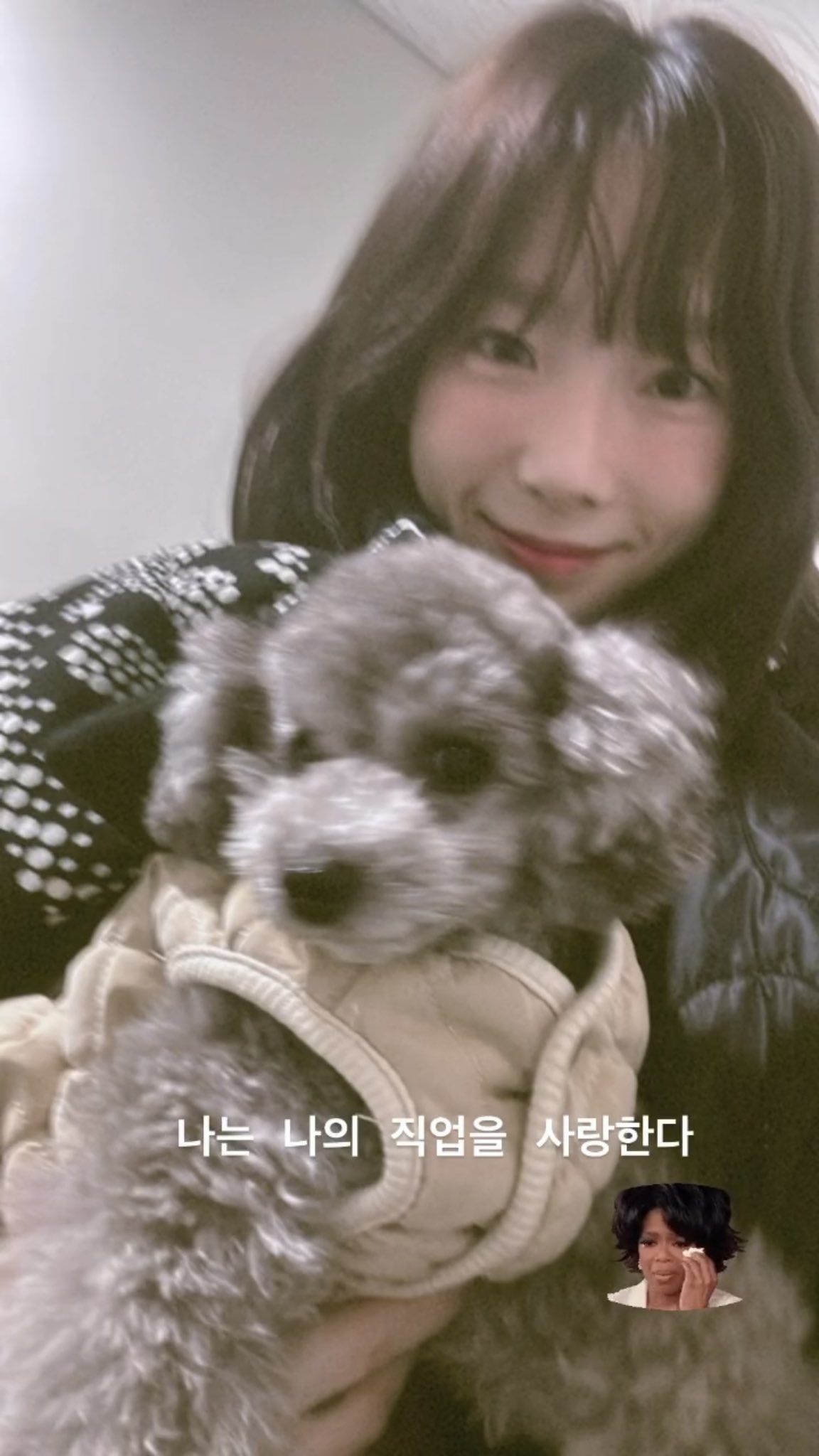 [잡담] 하 태연 인스타 스토리... 나운다 | 인스티즈