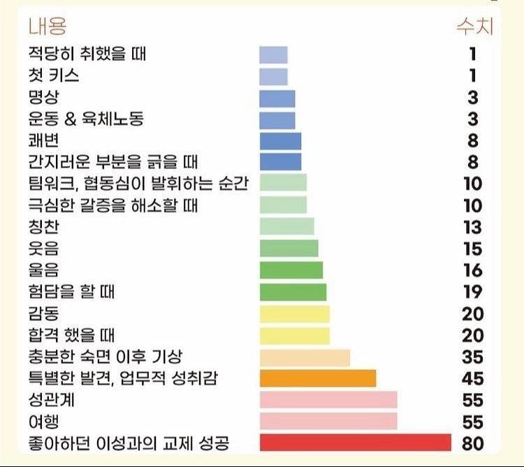 인간이 느끼는 쾌락 순위 | 인스티즈