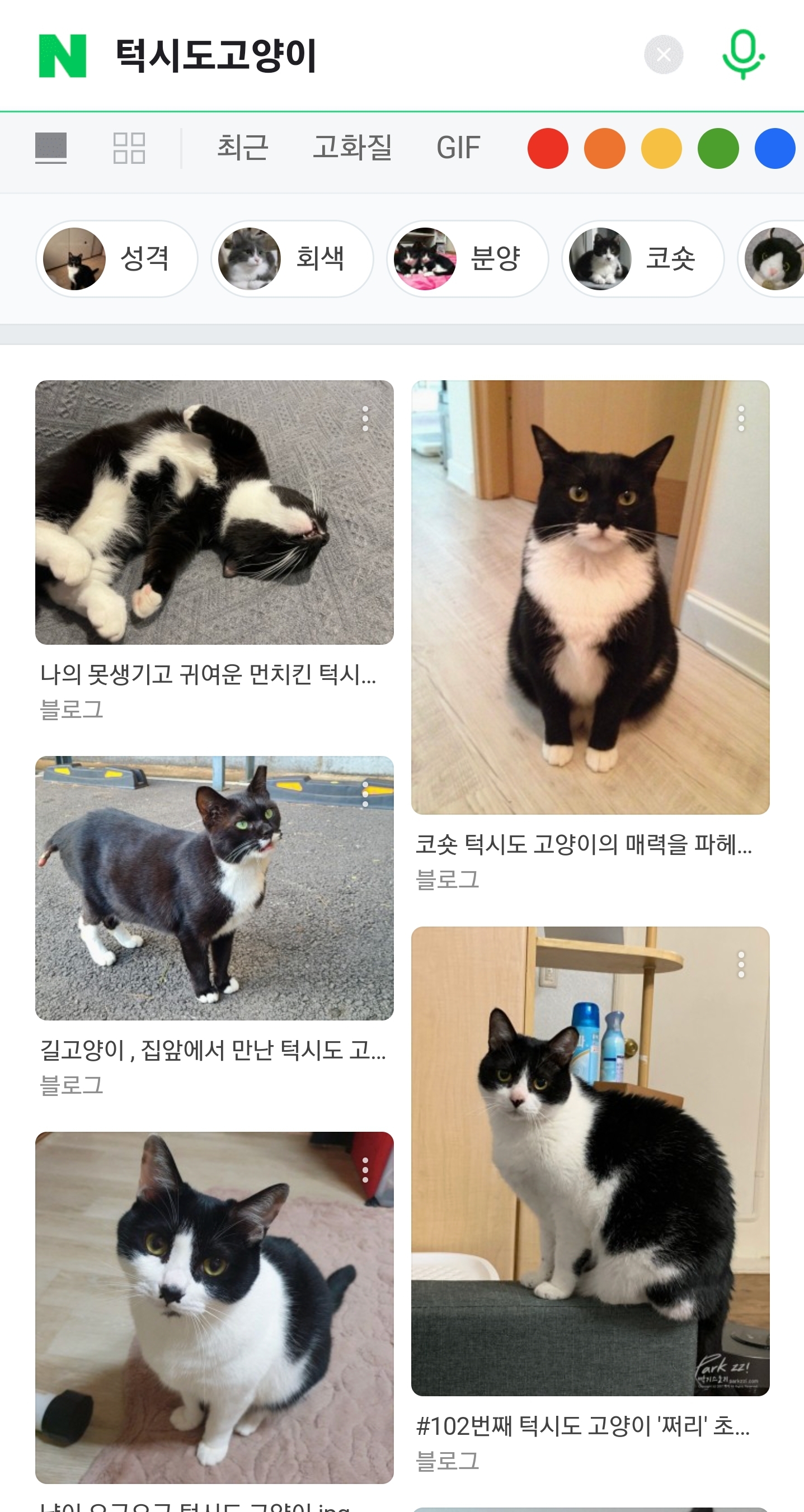[잡담] 혹시 모에화로 턱시도고양이인 아이돌 멤버가 있을까?? | 인스티즈