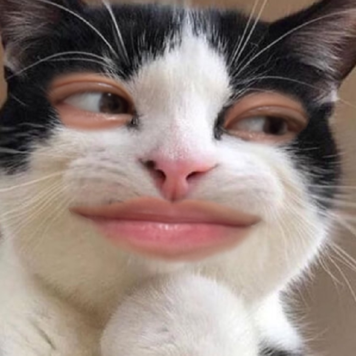 [잡담] 아닠ㅋㅋㅋ 김현진 인스타 개설하고나서 인스타 스토리에 이거올렸었는데 | 인스티즈