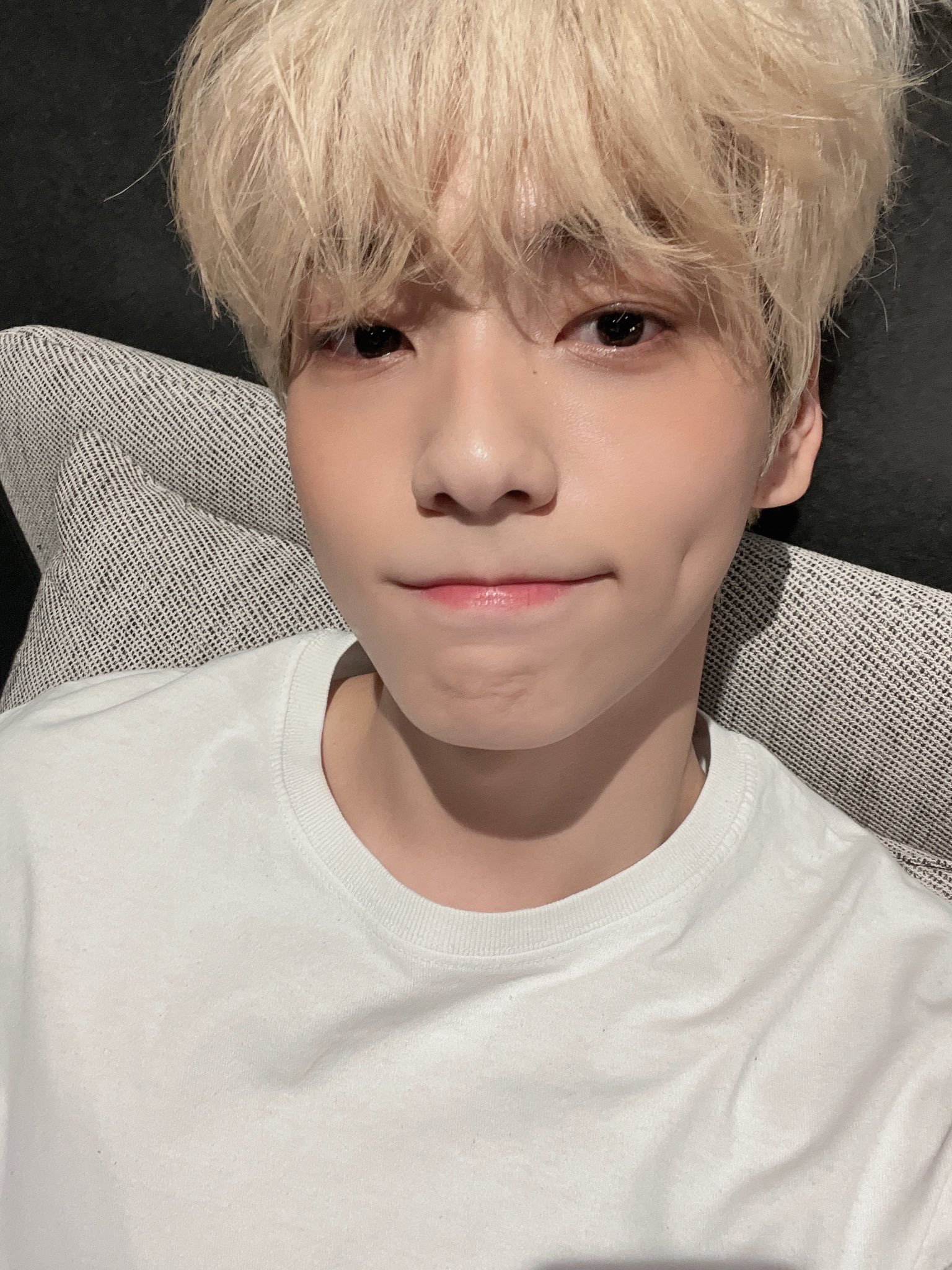 [잡담] 엥 너 강아지? | 인스티즈