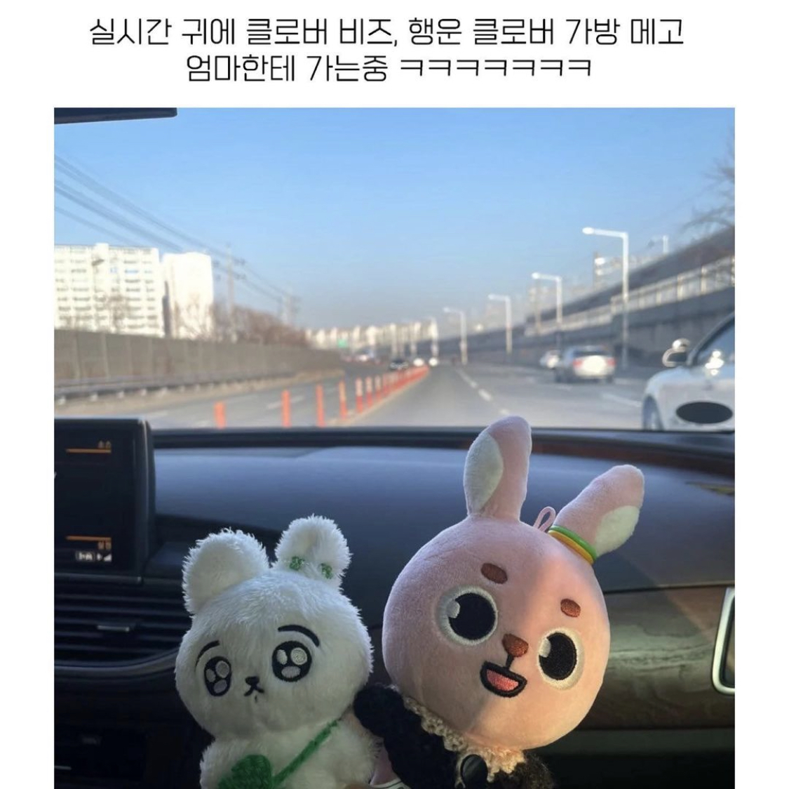 [잡담] 아이돌 인형 임보 사건 전말, 결과 봤어...? | 인스티즈