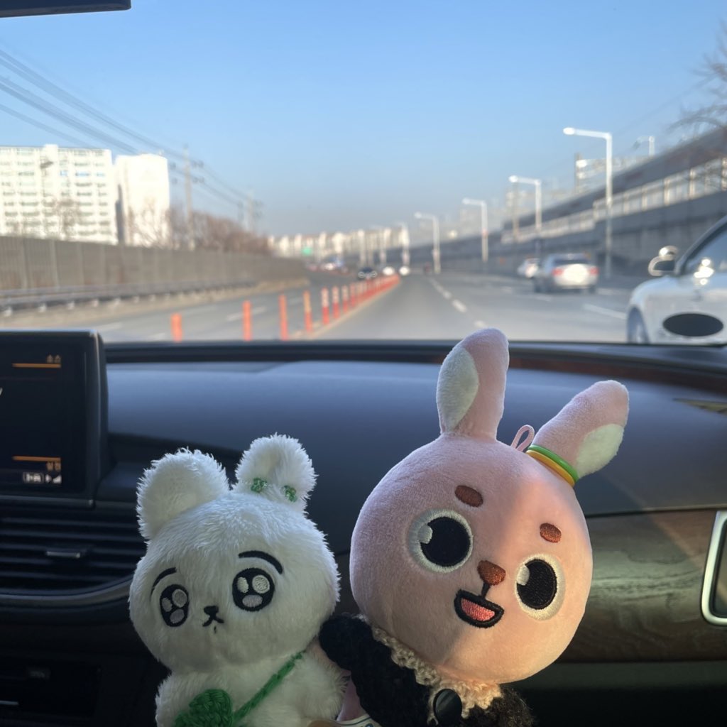 [잡담] 아이돌 인형 임보 사건 전말, 결과 봤어...? | 인스티즈
