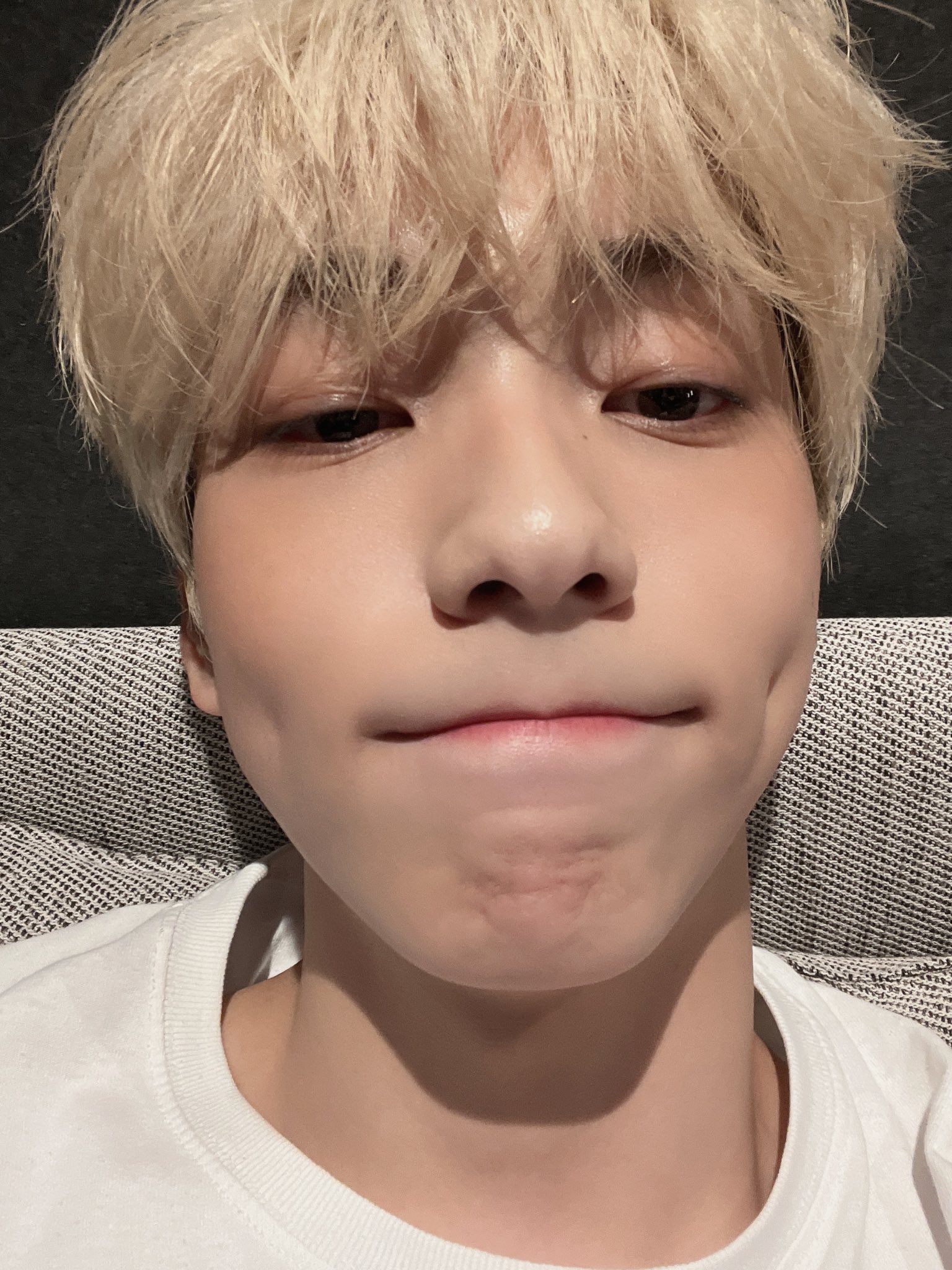 [잡담] 엥 너 강아지? | 인스티즈
