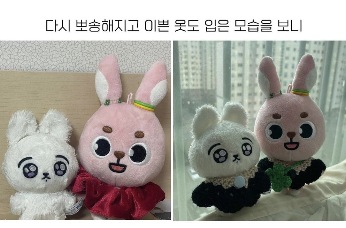 [잡담] 아이돌 인형 임보 사건 전말, 결과 봤어...? | 인스티즈