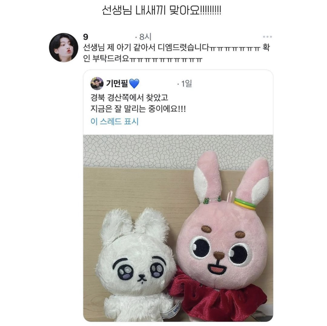[잡담] 아이돌 인형 임보 사건 전말, 결과 봤어...? | 인스티즈