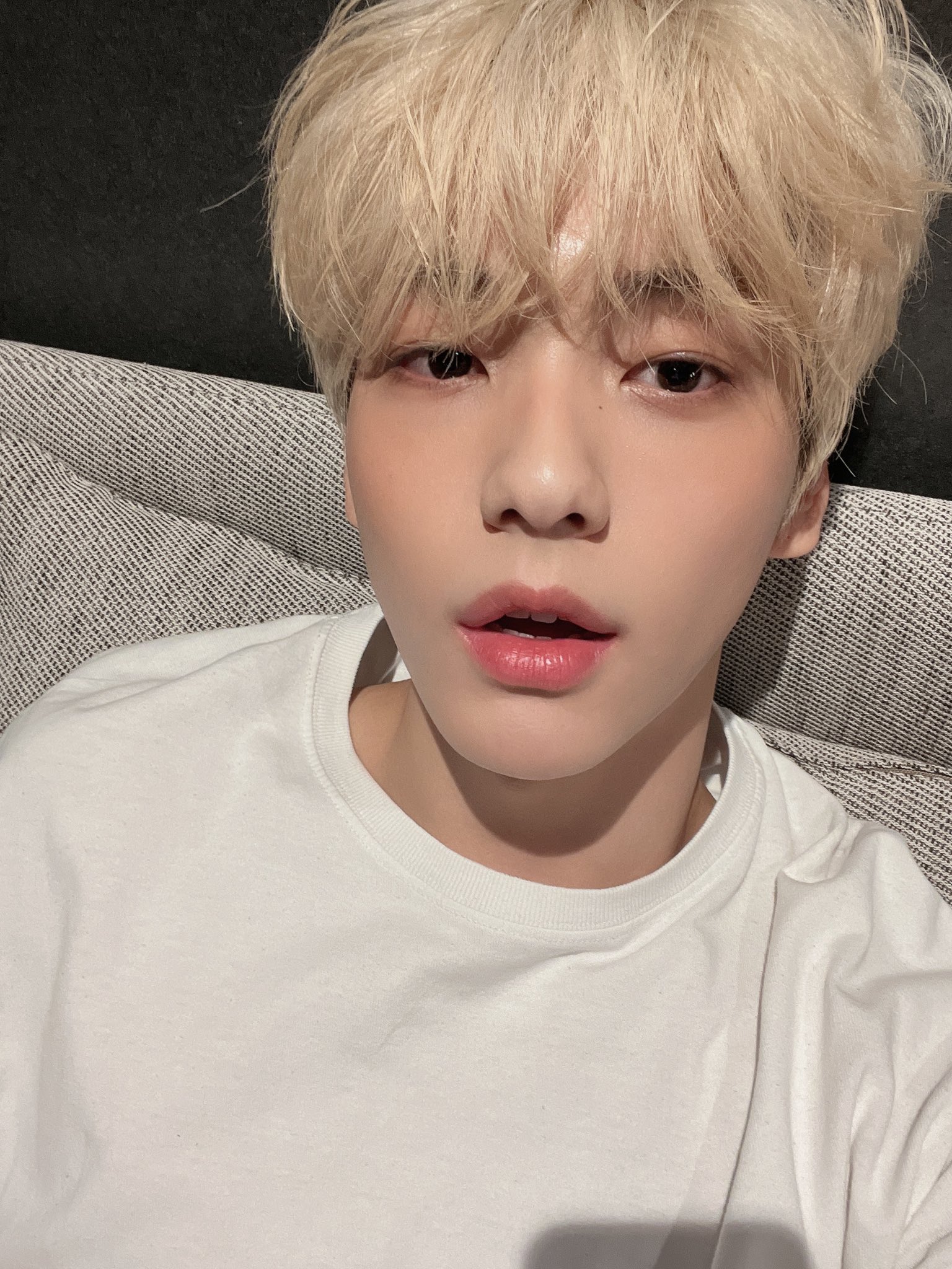 [잡담] 엥 너 강아지? | 인스티즈