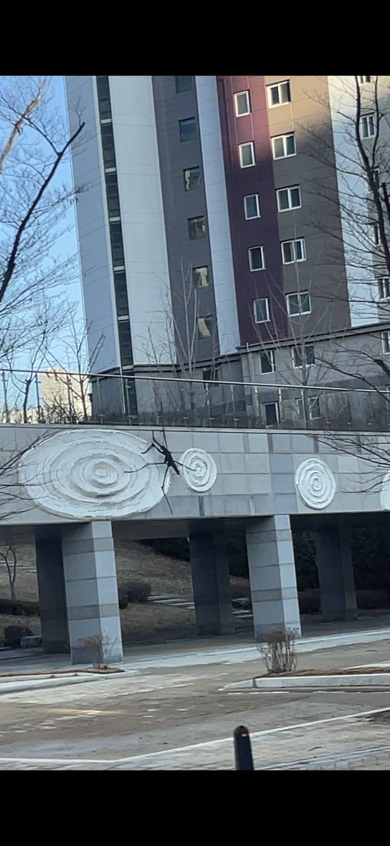 지나가다가 봤는데 개 놀램 .. 왜 이런걸.. | 인스티즈