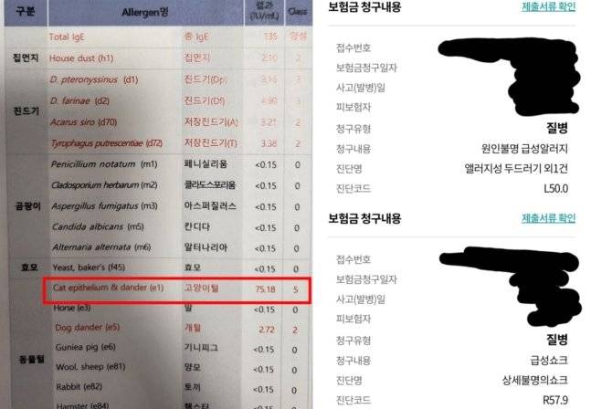 "알레르기 오버하지 마" 시댁 강요에 응급실 실려간 며느리 | 인스티즈