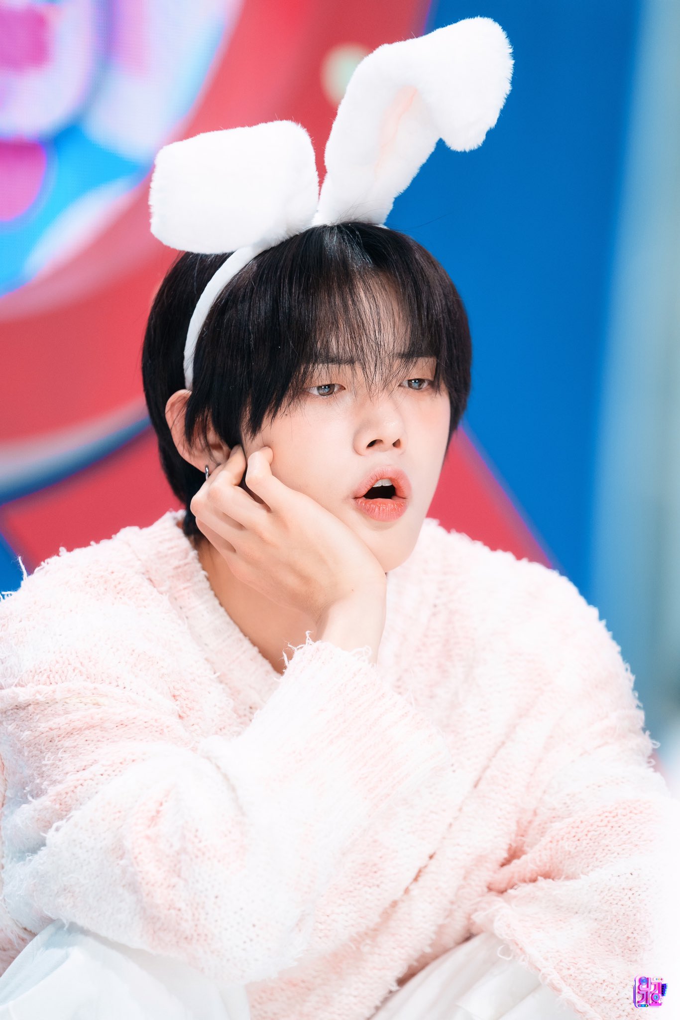 [잡담] 오리야 토끼야 하나만 해 | 인스티즈