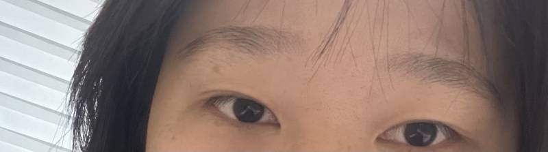 얘들아 내 눈썹 봐줘…. 눈썹문신하기 어려운 눈썹이야? | 인스티즈