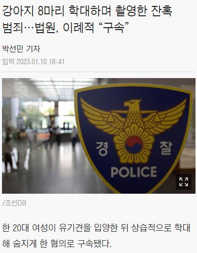 속보)강아지 8마리 때리고 학대하며 동영상 촬영 20대 여성 검거 법원"이례적 구속 | 인스티즈