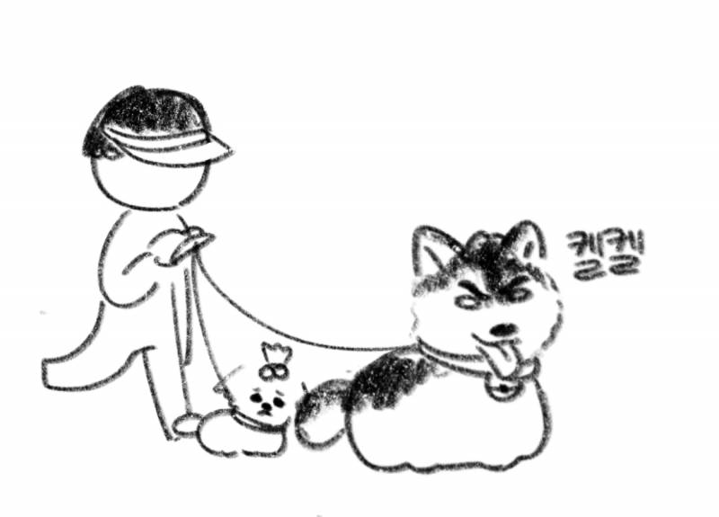 얘들아 나 오늘 밖에서 신기한거 보고옴 ㅋㅋ | 인스티즈