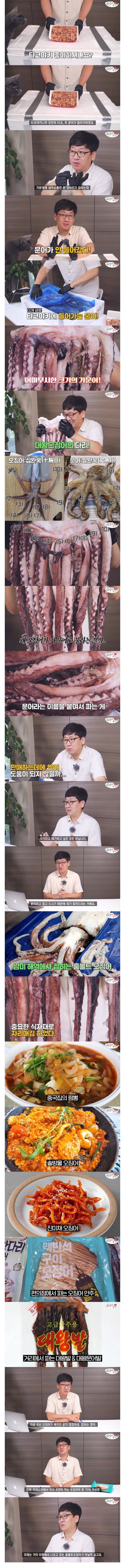 우리가 문어라고 생각하고 먹는 음식의 진실.jpg | 인스티즈