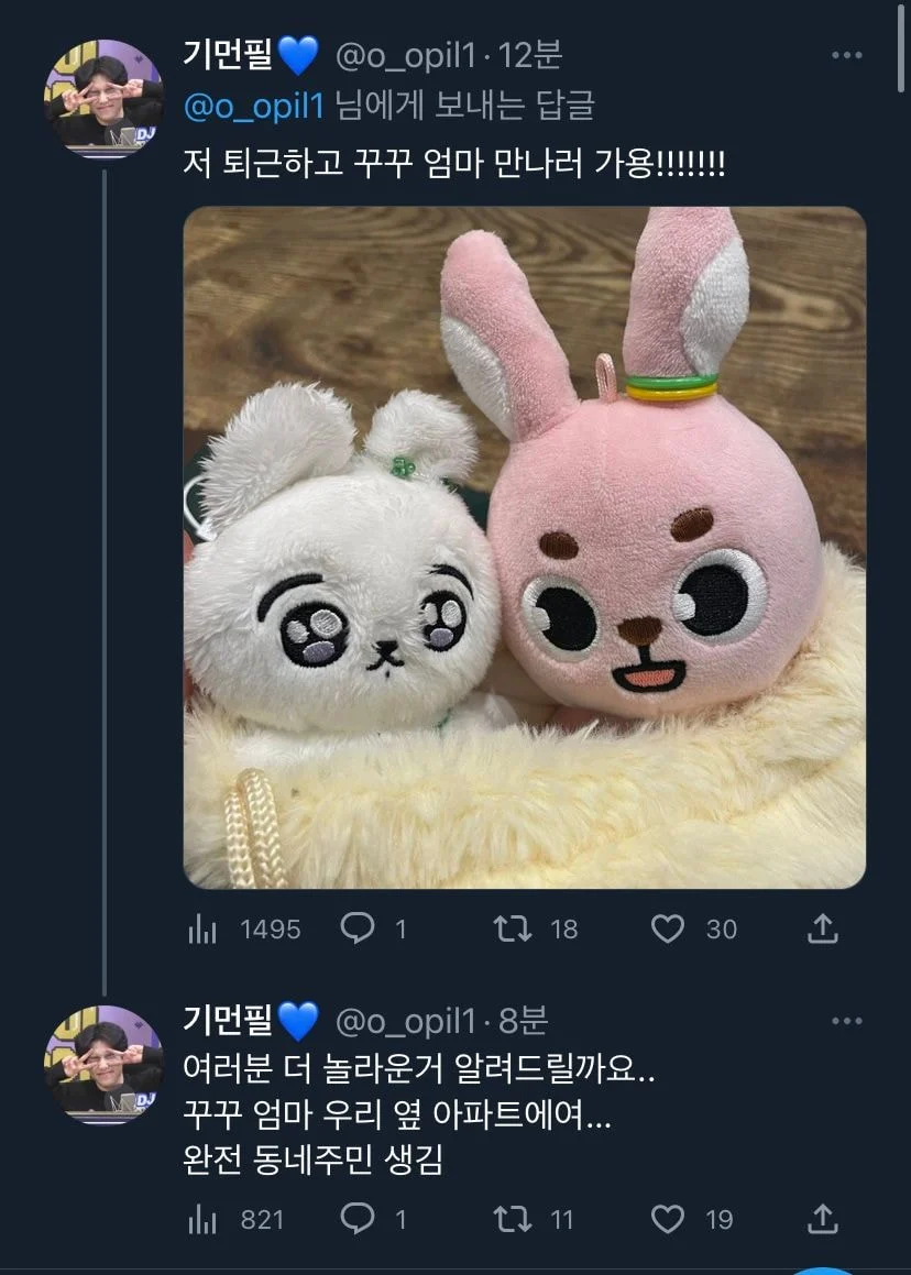 [잡담] 헐 그 인형 임보 해프닝? 주인이랑 임보자 옆 아파트였대 | 인스티즈