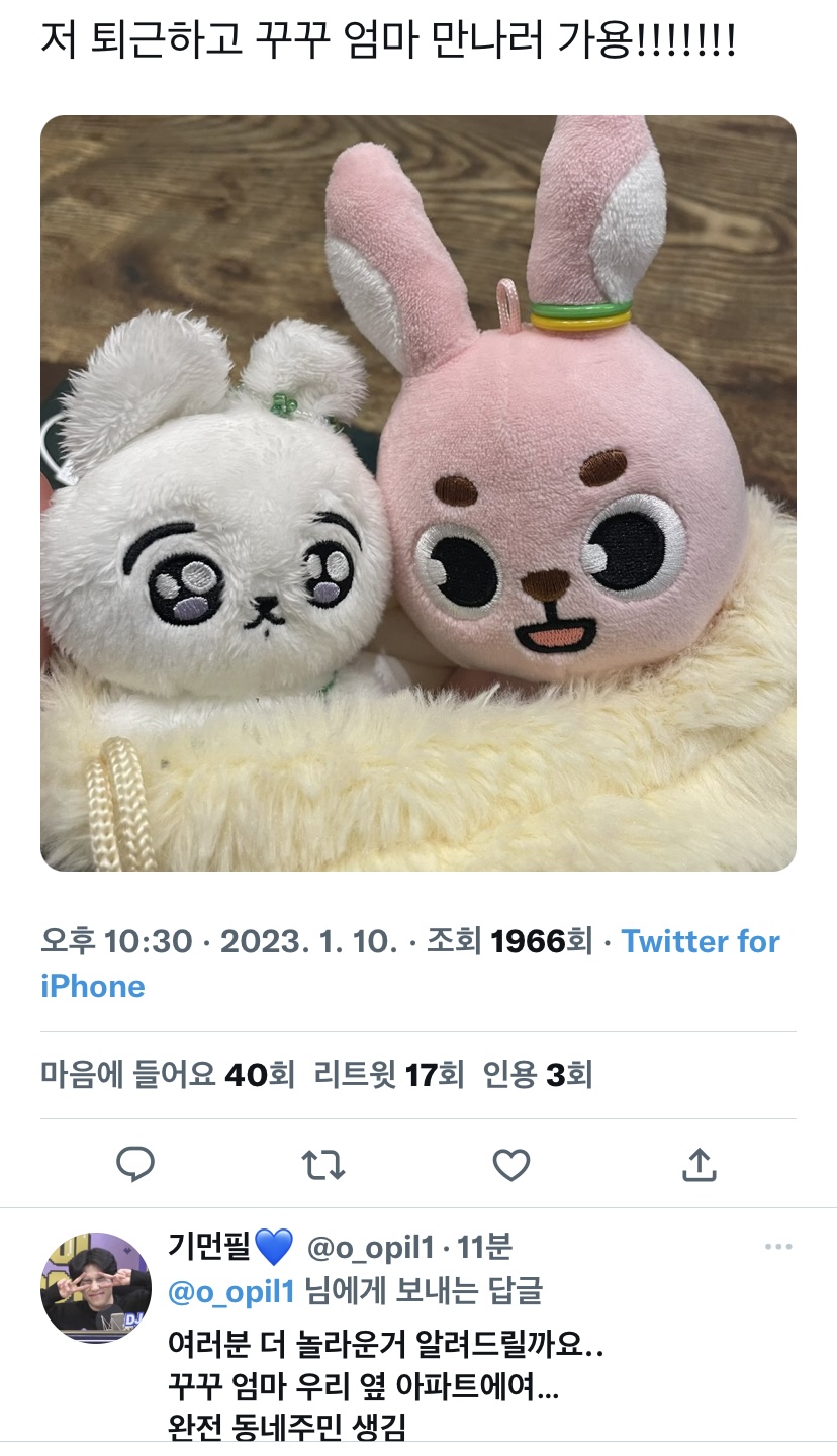 [잡담] ㅇㄴ방탄 정국 임보인형 완전 동네이웃이었음ㅋㅋㅋ케 | 인스티즈