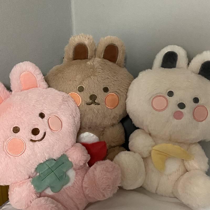다이소에서 세 마리 데려와썽 | 인스티즈