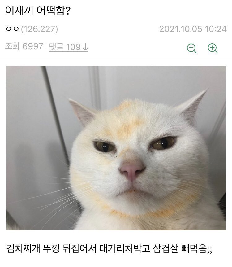 [잡담] 몬엑 아이엠 고양이상이라고 생각한적 없었는데 | 인스티즈
