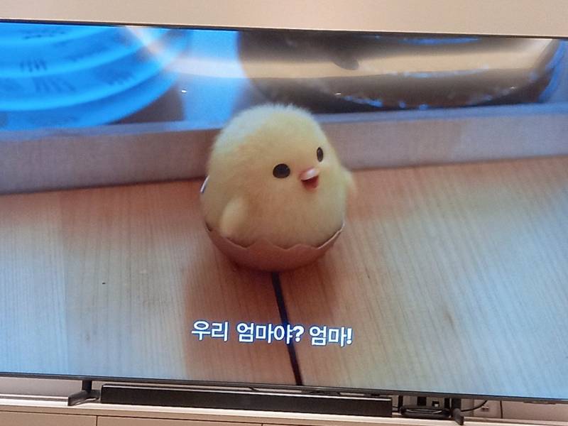 얘들아 심심한사람 자다깬사람 제발 이거 좀 골라줘🐥🐥🐥 | 인스티즈