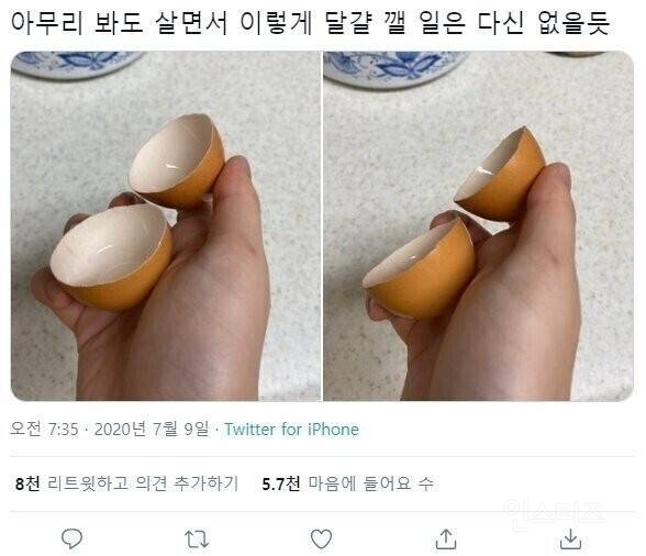 요리하다말고 카메라 킴.jpg | 인스티즈