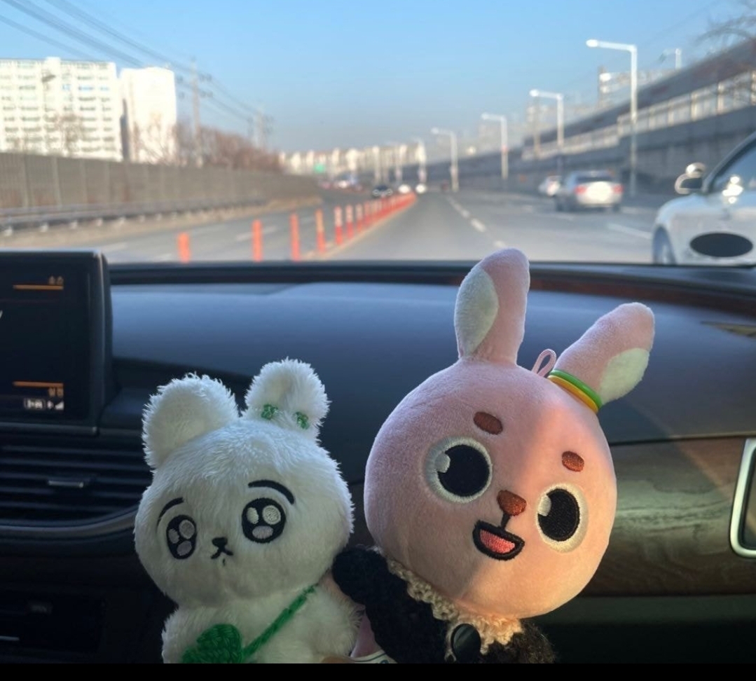 [잡담] 아니근데 그 인형 임보글에 꾸꾸 ㅋㅋㅋㅋ다 같은표정인데 왜케 달라보이지 | 인스티즈