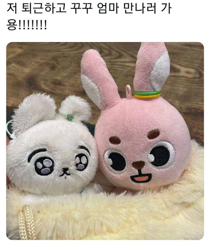 [잡담] 아니근데 그 인형 임보글에 꾸꾸 ㅋㅋㅋㅋ다 같은표정인데 왜케 달라보이지 | 인스티즈